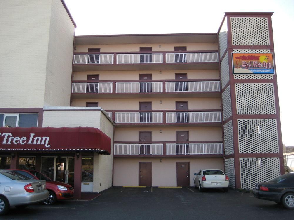 Oasis Hotel Север Миртл Бич Экстерьер фото